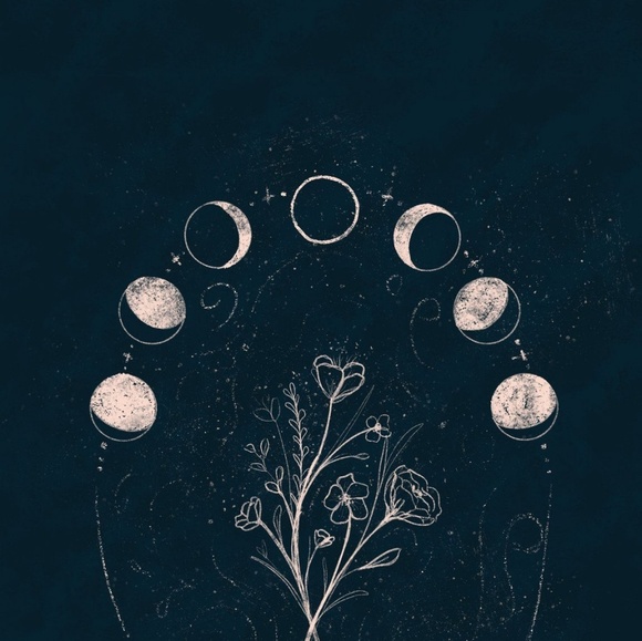 Meet your Posher, Whitney - Picture 1 of 1